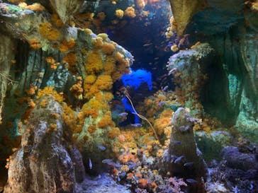 サンシャイン水族館に投稿された画像（2020/8/16）