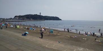 新江ノ島水族館に投稿された画像（2020/8/16）