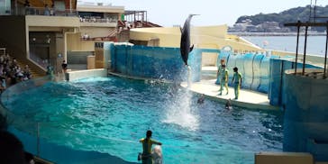 新江ノ島水族館に投稿された画像（2020/8/16）
