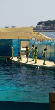 新江ノ島水族館に投稿された画像（2020/8/16）