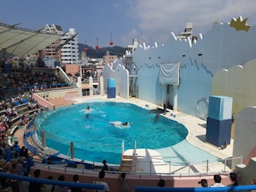 株式会社Gに投稿された画像（2020/8/16）