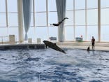 アクアワールド茨城県大洗水族館に投稿された画像（2020/8/16）