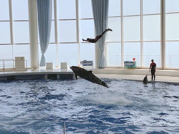 アクアワールド茨城県大洗水族館に投稿された画像（2020/8/16）