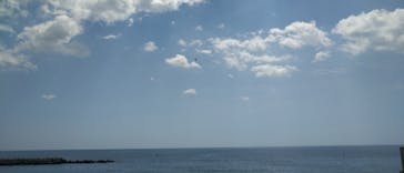 松島熱気球・パラグライダー体験に投稿された画像（2020/8/13）