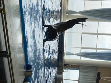 アクアワールド茨城県大洗水族館に投稿された画像（2020/8/16）