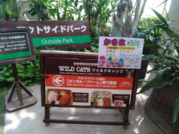 神戸どうぶつ王国に投稿された画像（2020/8/16）