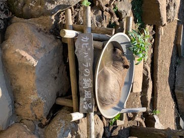 伊豆シャボテン動物公園に投稿された画像（2020/8/16）