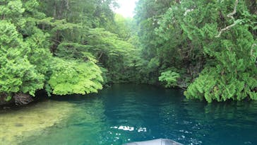 グリランド株式会社に投稿された画像（2020/8/11）