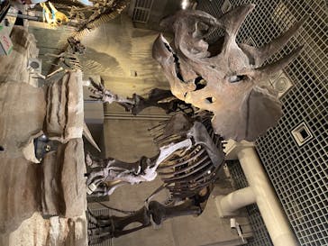 国立科学博物館に投稿された画像（2020/8/16）