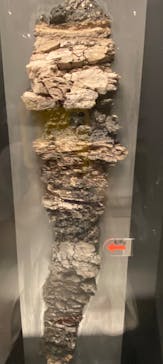 国立科学博物館に投稿された画像（2020/8/16）