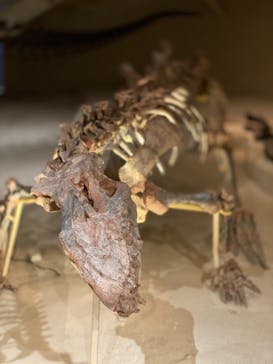 国立科学博物館に投稿された画像（2020/8/16）