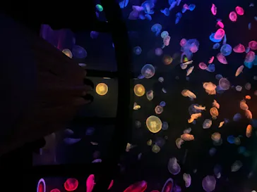 すみだ水族館に投稿された画像（2020/8/16）