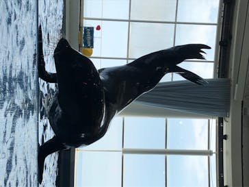 アクアワールド茨城県大洗水族館に投稿された画像（2020/8/16）