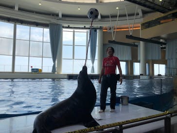 アクアワールド茨城県大洗水族館に投稿された画像（2020/8/16）