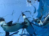 サンシャイン水族館に投稿された画像（2020/8/16）