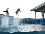 新江ノ島水族館に投稿された画像（2020/8/16）