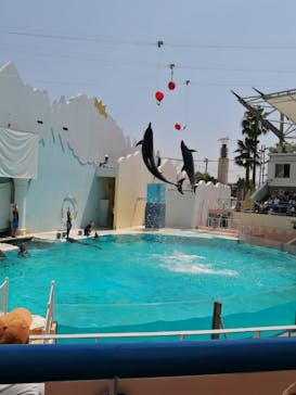 株式会社Gに投稿された画像（2020/8/16）