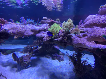 すみだ水族館に投稿された画像（2020/8/16）