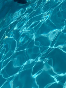 東京サマーランドに投稿された画像（2020/8/16）