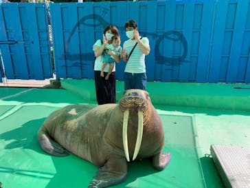 ゼロ距離水族館 伊勢シーパラダイスに投稿された画像（2020/8/16）