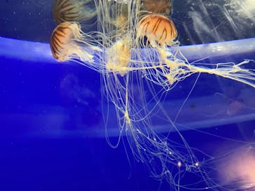 株式会社Gに投稿された画像（2020/8/16）