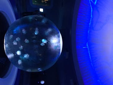 新江ノ島水族館に投稿された画像（2020/8/16）