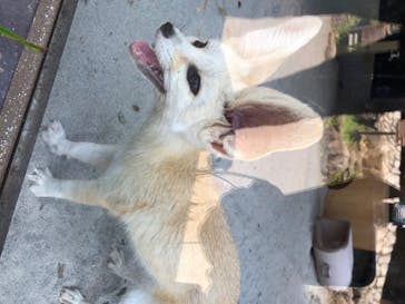 伊豆シャボテン動物公園に投稿された画像（2020/8/16）