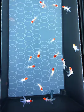 すみだ水族館に投稿された画像（2020/8/16）