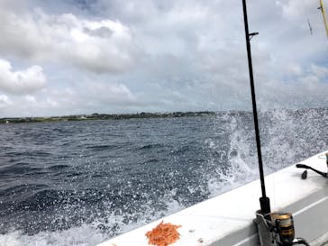 沖縄海うさぎ・海あしびに投稿された画像（2020/8/16）