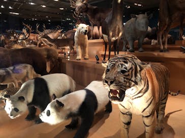 国立科学博物館に投稿された画像（2020/8/16）