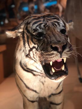 国立科学博物館に投稿された画像（2020/8/16）