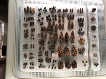 国立科学博物館に投稿された画像（2020/8/16）