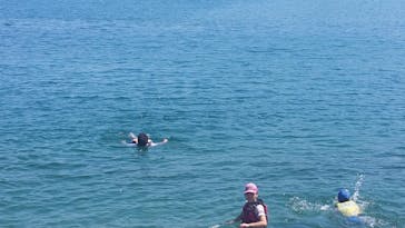 Kiaora Paddle（キオラ パドル）に投稿された画像（2020/8/16）