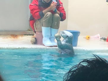 鳥羽水族館に投稿された画像（2020/8/16）