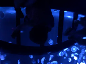 すみだ水族館に投稿された画像（2020/8/16）