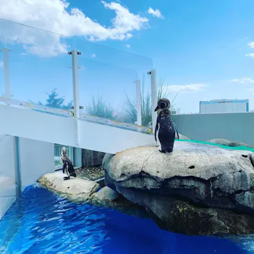 仙台うみの杜水族館に投稿された画像（2020/8/16）