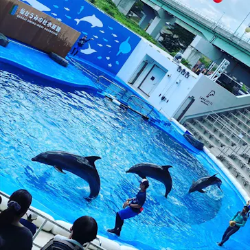 仙台うみの杜水族館に投稿された画像（2020/8/16）