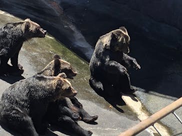 阿蘇カドリー・ドミニオンに投稿された画像（2020/8/16）