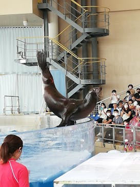 アクアワールド茨城県大洗水族館に投稿された画像（2020/8/16）