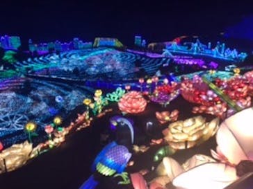 伊豆ぐらんぱる公園に投稿された画像（2020/8/16）