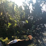 旭川市旭山動物園に投稿された画像（2020/8/16）