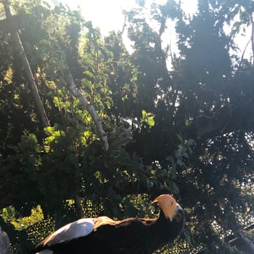 旭川市旭山動物園に投稿された画像（2020/8/16）