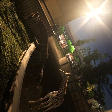 旭川市旭山動物園に投稿された画像（2020/8/16）