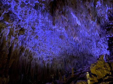 おきなわワールドに投稿された画像（2020/8/16）