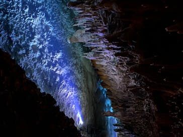 おきなわワールドに投稿された画像（2020/8/16）