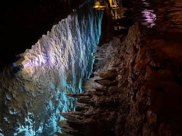 おきなわワールドに投稿された画像（2020/8/16）