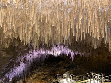 おきなわワールドに投稿された画像（2020/8/16）