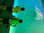 鳥羽水族館に投稿された画像（2020/8/16）