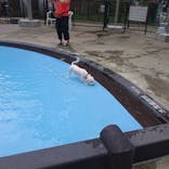 わんダフルネイチャーヴィレッジに投稿された画像（2020/8/17）