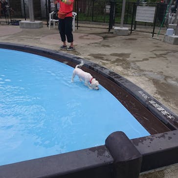 わんダフルネイチャーヴィレッジに投稿された画像（2020/8/16）